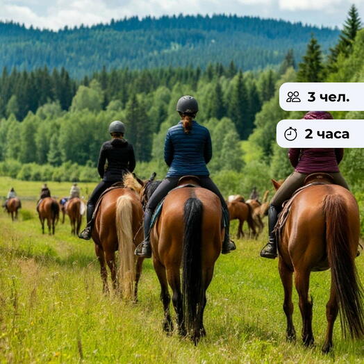 Ветер в гриву. Конная прогулка по Битцевскому лесу