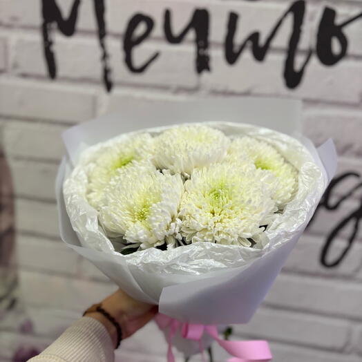 Хризантема Магнум