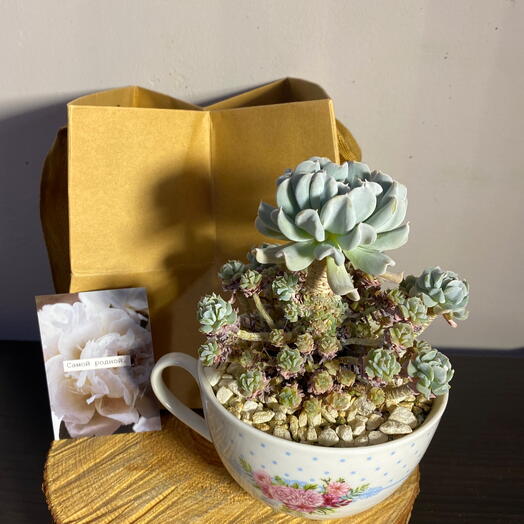 Подарок любимой маме