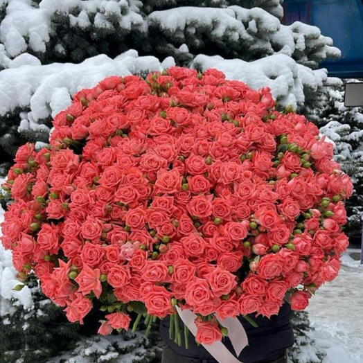 Кустовые розочки😍
