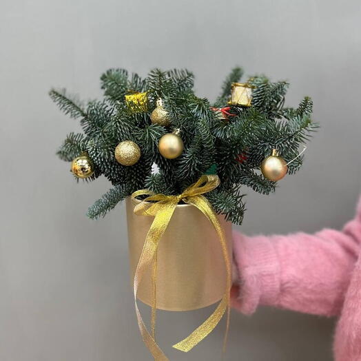 «Золотое сияние зимы»