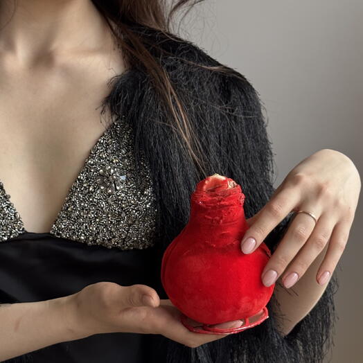 Луковица амариллиса