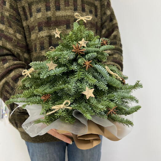 Композия " вдохновение хвои"