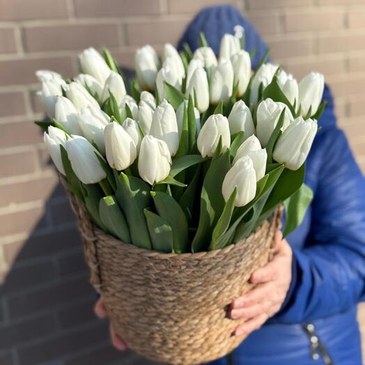 Корзина белых тюльпанов