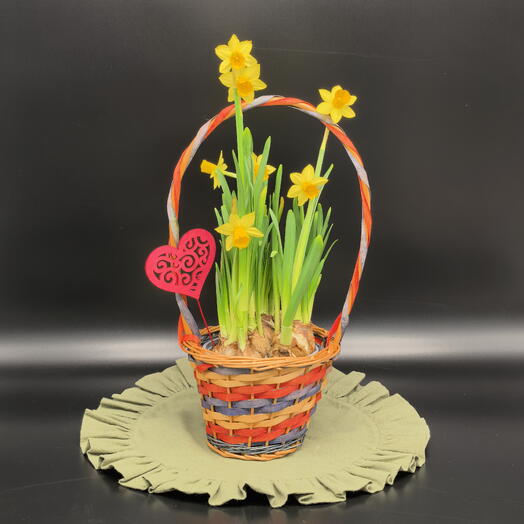 Нарциссы в плетеной корзинце с сердечком