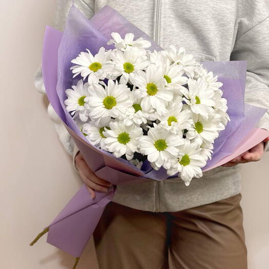 Милые ромашки🌸 хризантемы кустовые