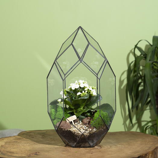 Цветок каланхоэ во флорариуме "Фаберже" , подарок