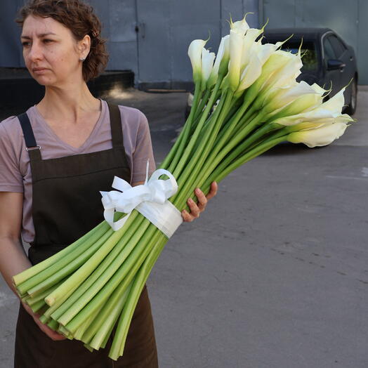 51 высокая калла