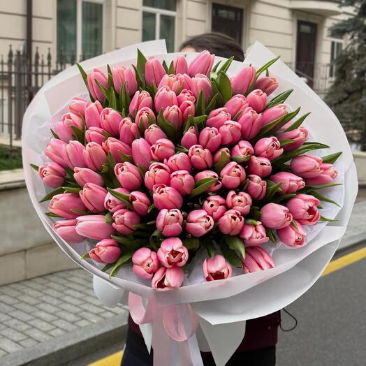 75 розовых тюльпанов