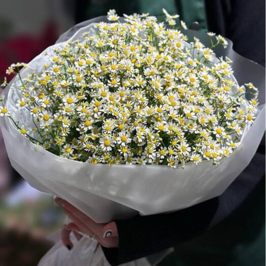 Букет из 25 кустовых ромашек