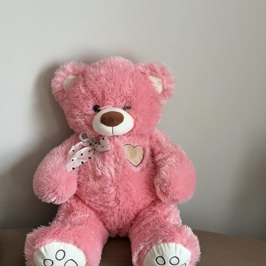 Teddy  🧸 мишка