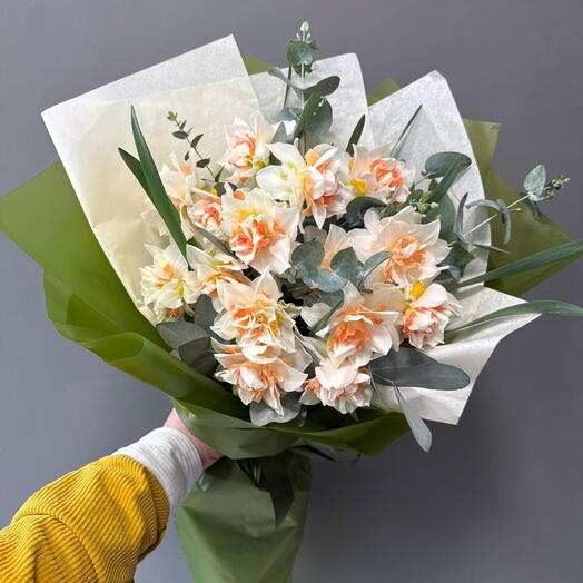 Нарцисс пионовидные