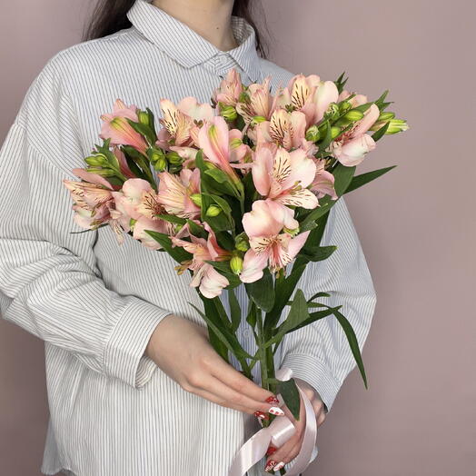Альстромерия "Мини забота" 🌸