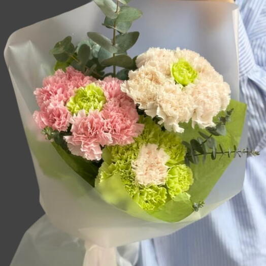 Микс диантусов new