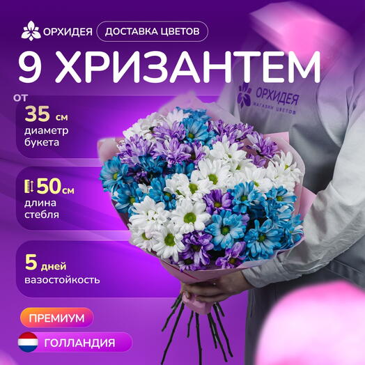 9 хризантем микс краш