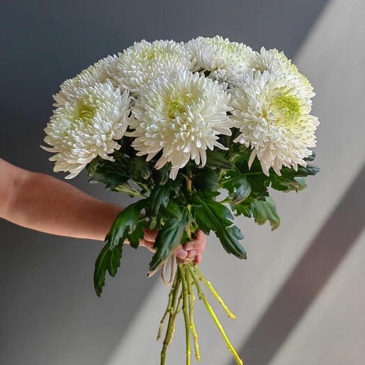 Букет из 7 одноголовых хризантем 🤍
