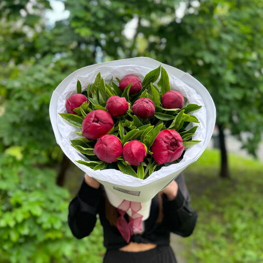 Букет из 9 пионов Ред Шарм