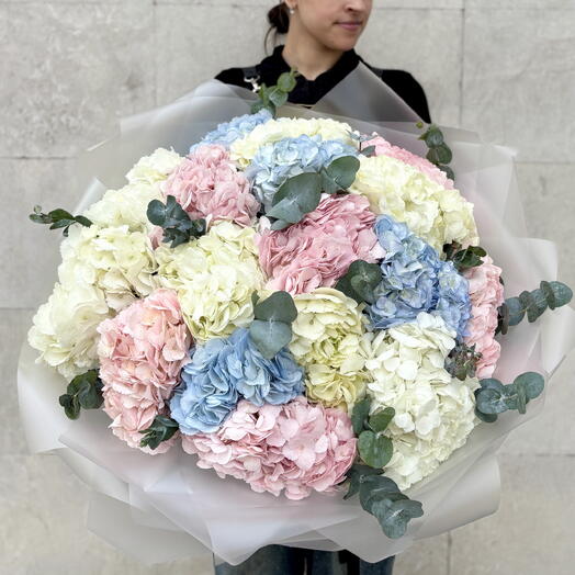 Enorme ramo de hortensias