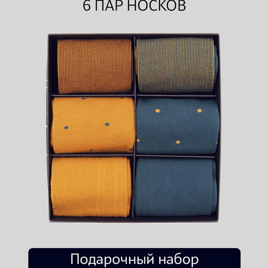 Подарочный набор мужских носков Tezido Н62, 6 пар