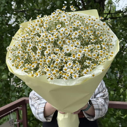 Монобукет из ромашек танацетума | доставка цветов в Сыктывкаре
