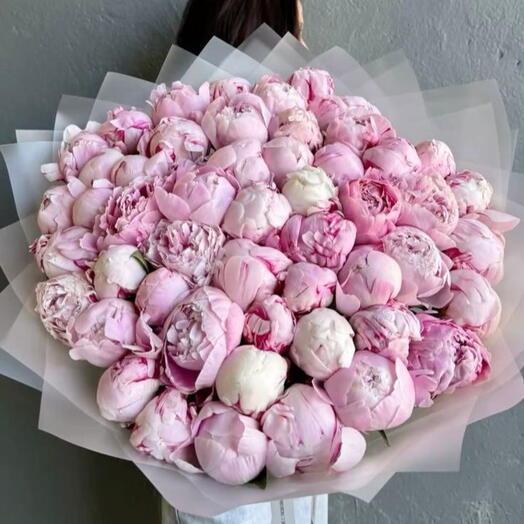 Акция❣️ 51 пион