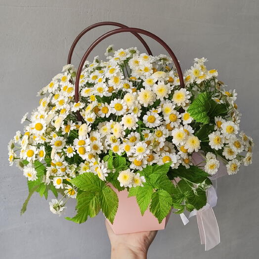 Летняя радость