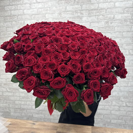 151 красная роза 🌹️️️