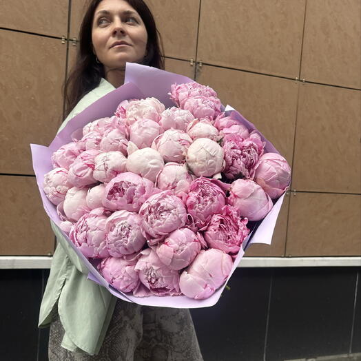 Букет из 35 пионов сорта Сара Бернар