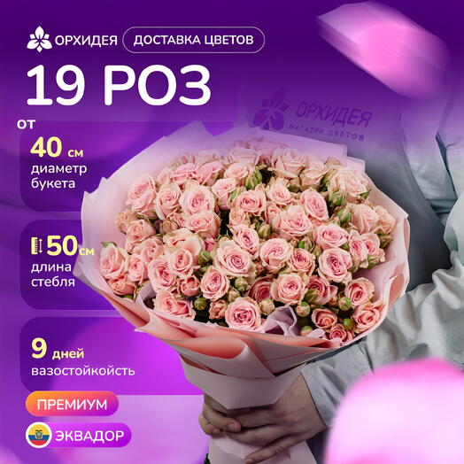 19 кустовых роз Вега