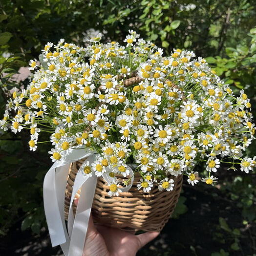 Летний композиция из ромашки 🌼