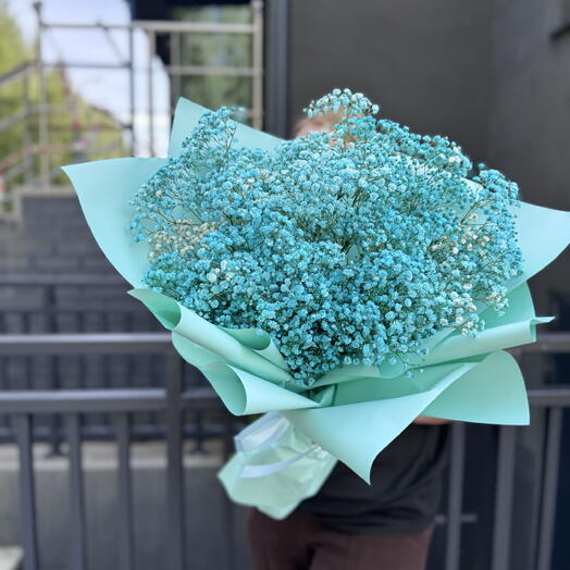 Ramo de gypsophila "Aqua"
