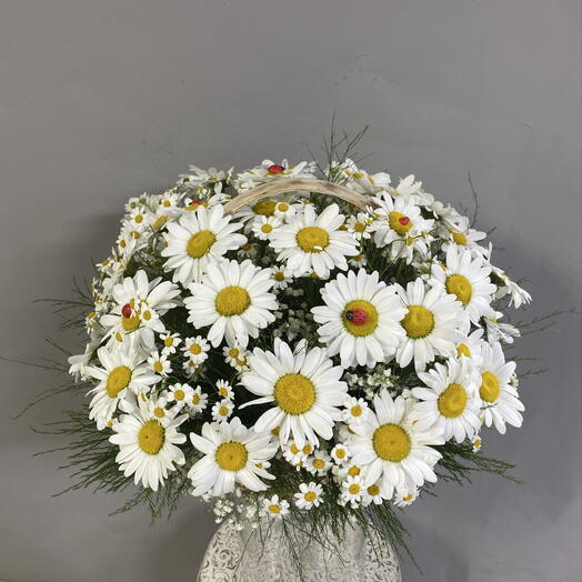 Корзина с ромашками