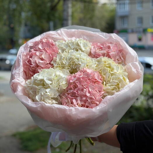 Букет из 7 гортензий в упаковке