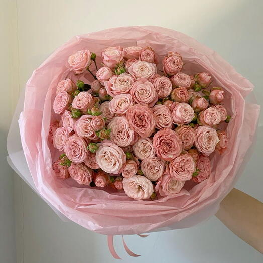 Sweet Rose
