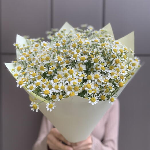Монобукет из 15 кустовых ромашек
