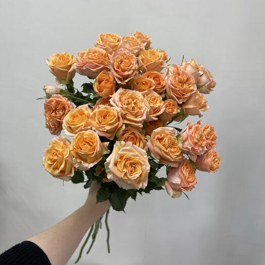 Семь кустовых пионовидных роз