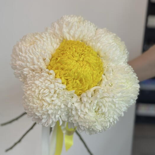 Монобукет одноголовой хризантемы🌼🤍