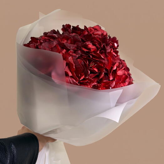 Красные гортензии Red Amor