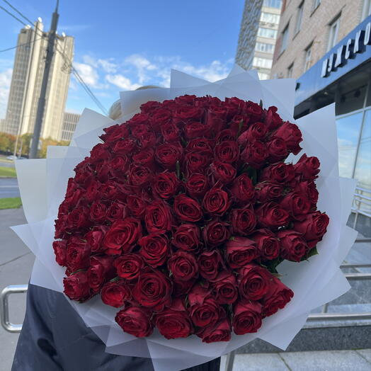 101 некрупная роза