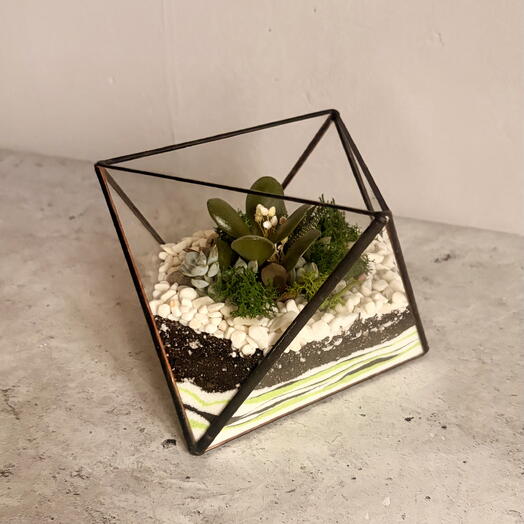 Florarium Selena