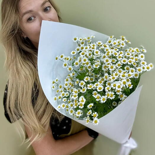 Букет из 5 шт. Матрикарии ( ромашка Камила, танацетум) . Букет из полевых, кустовых ромашек