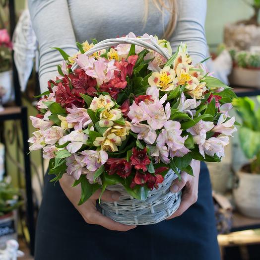 Cesta de alstroemeria multicolor (19 piezas)