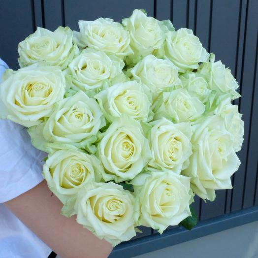 19 White 60cm Roses