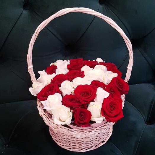 33 rosas