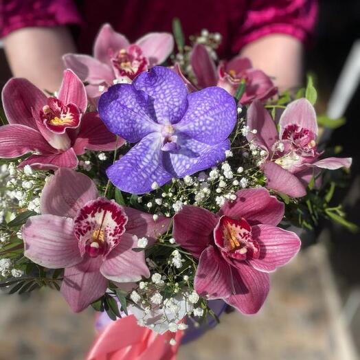 Flores en una Caja " mezcla de orquídeas»