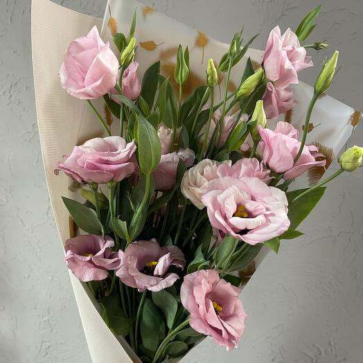 Eustoma
