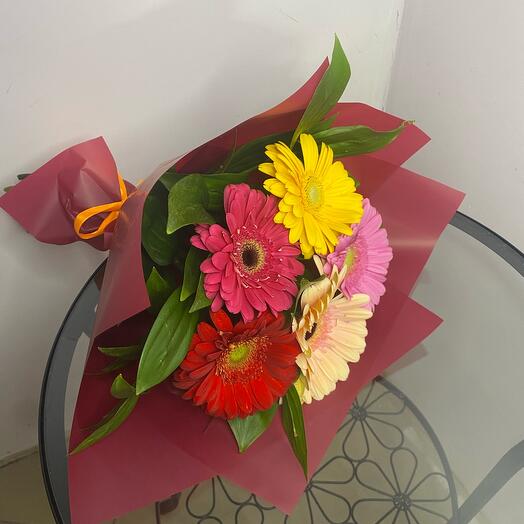 Gerbera