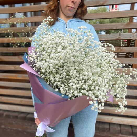 Gypsophila Snow - white