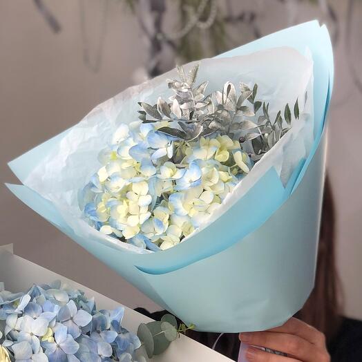 A compliment from hydrangea