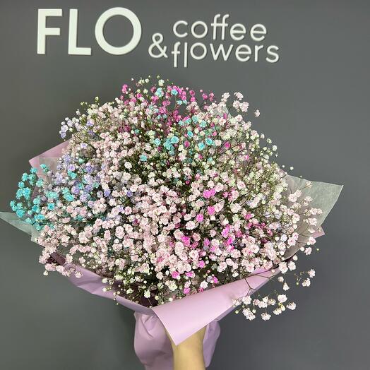 Gypsophila Monobucket